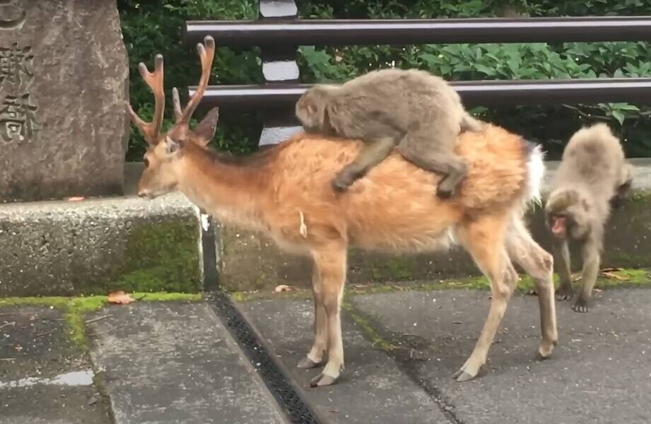 , ,      .