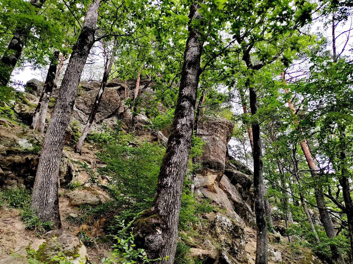 Планческие скалы. Фото автора