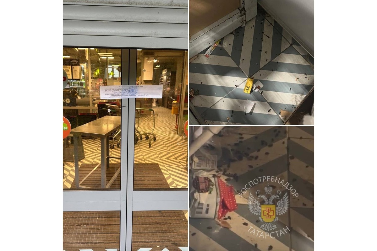   предоставлено Управлением Роспотребнадзора по РТ