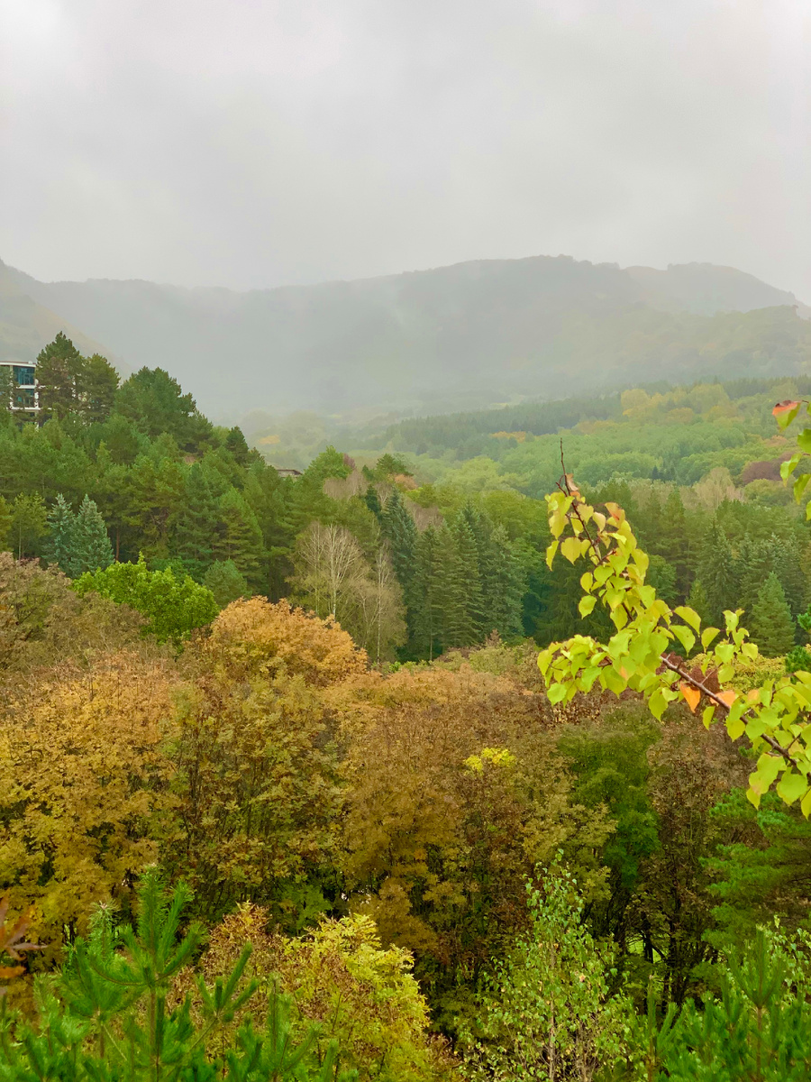 С редкими туманами 