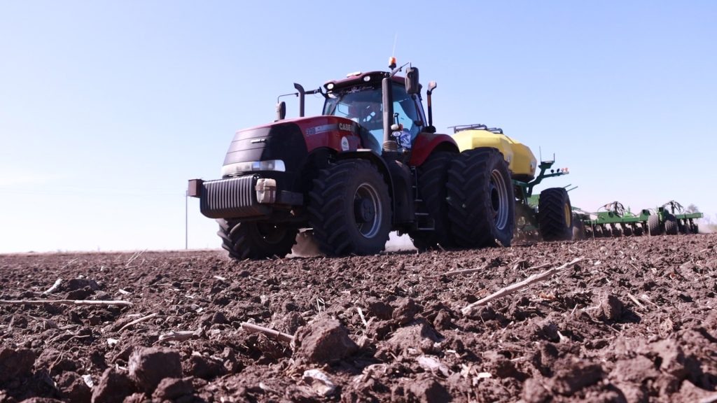    Фото автора Василий Шеин