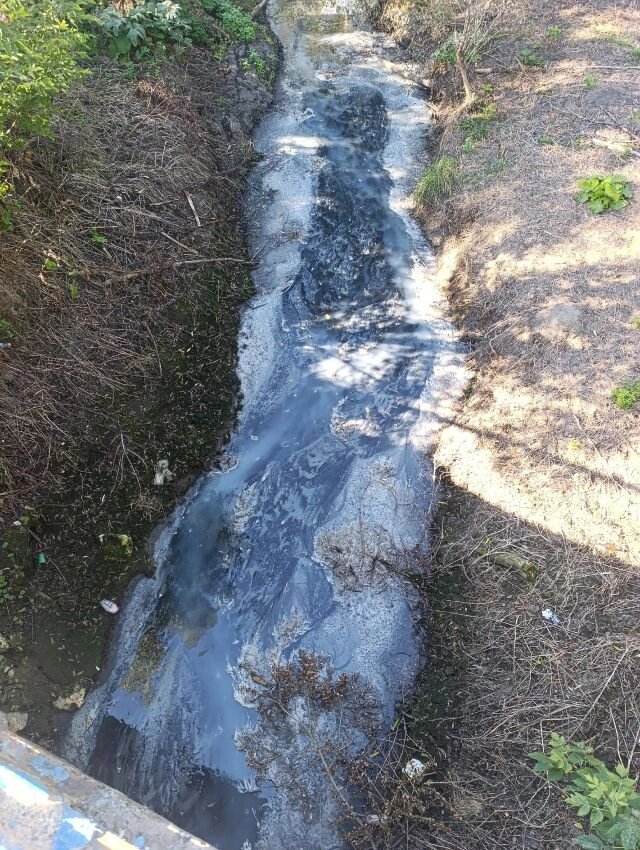    В реку Вырасилка сбрасывают стоки. Фото: Из личного архива