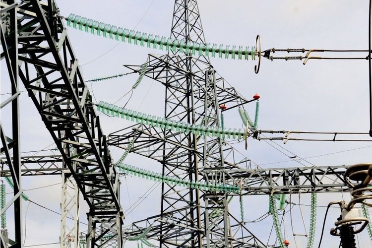    Фото: Правительство Ростовской области