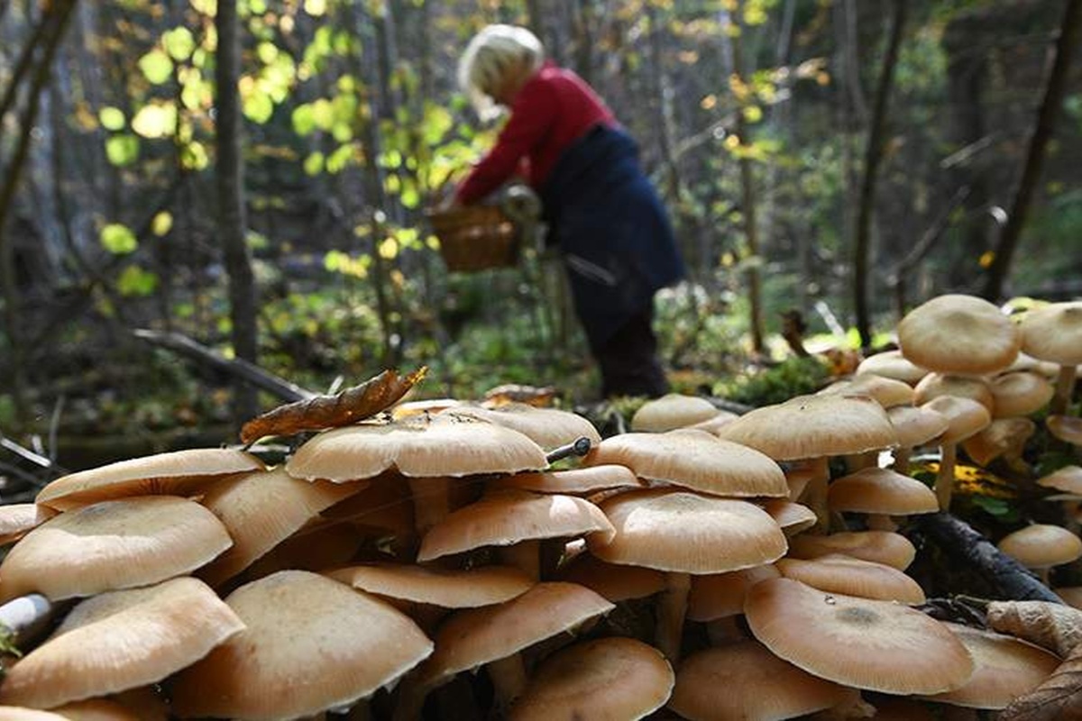    Фото: Кирилл Каллиников, источник: ria.ru