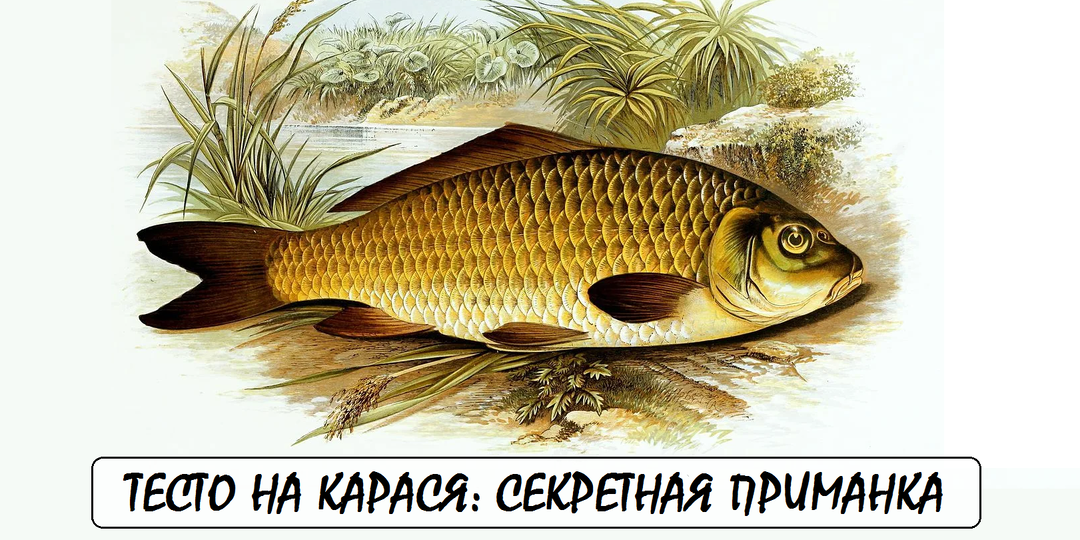 Тесто на карася: Секретная приманка, которую вы не купите в магазине