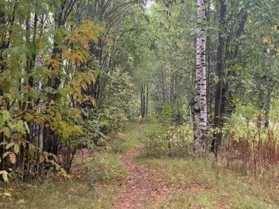    Фото со страницы Инны Колыхматовой в социальной сети "ВКонтакте"