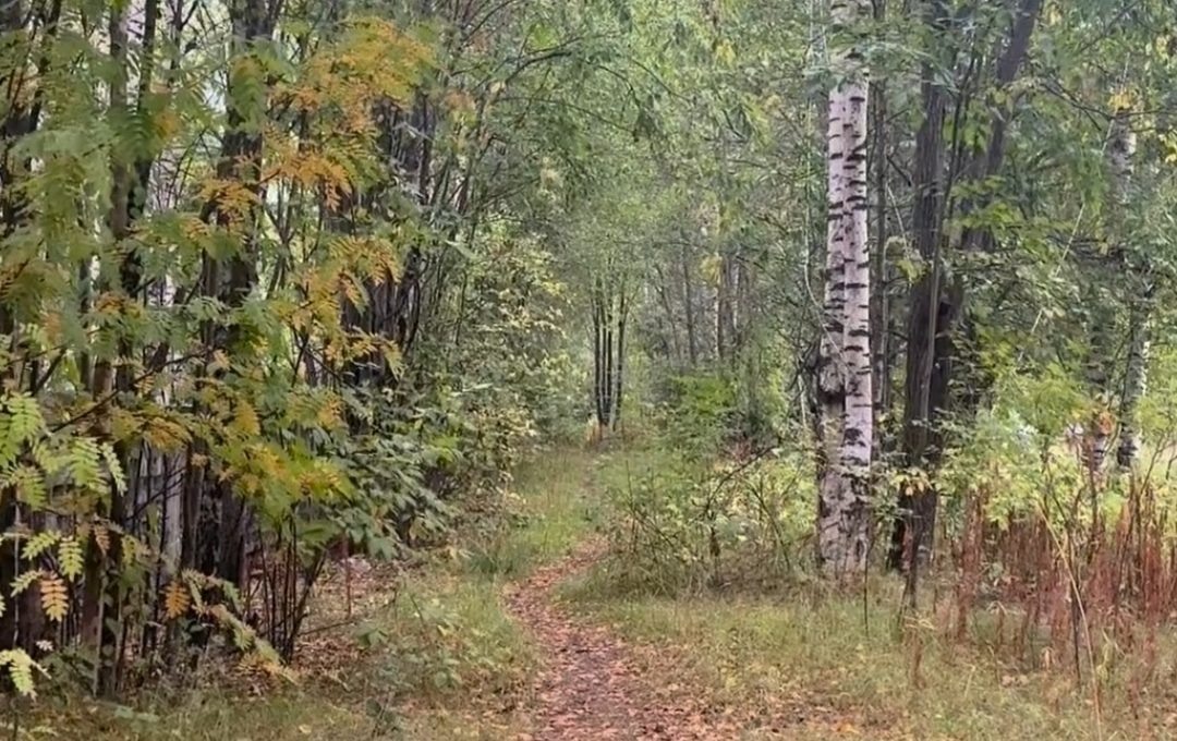    Фото со страницы Инны Колыхматовой в социальной сети «ВКонтакте»