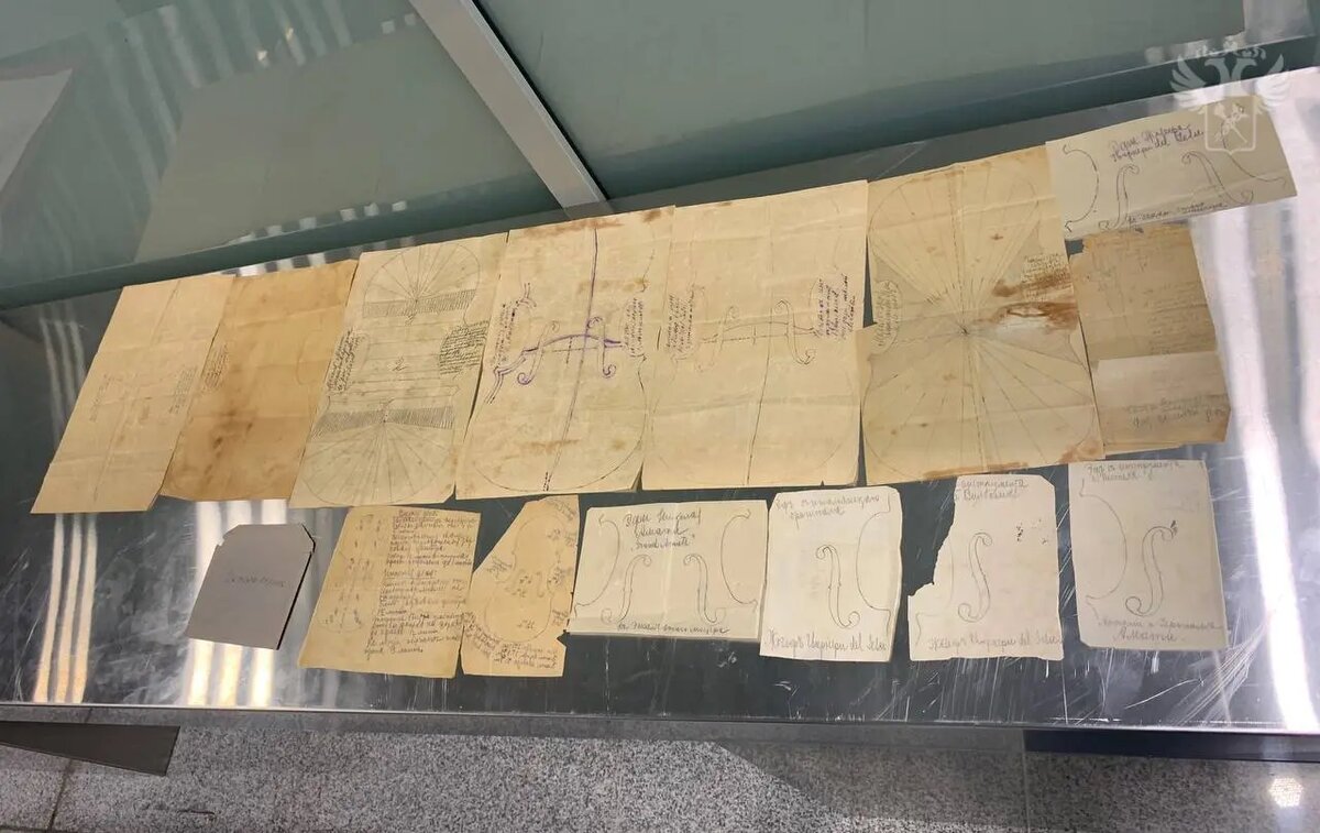    Фото: пресс-служба ФТС России