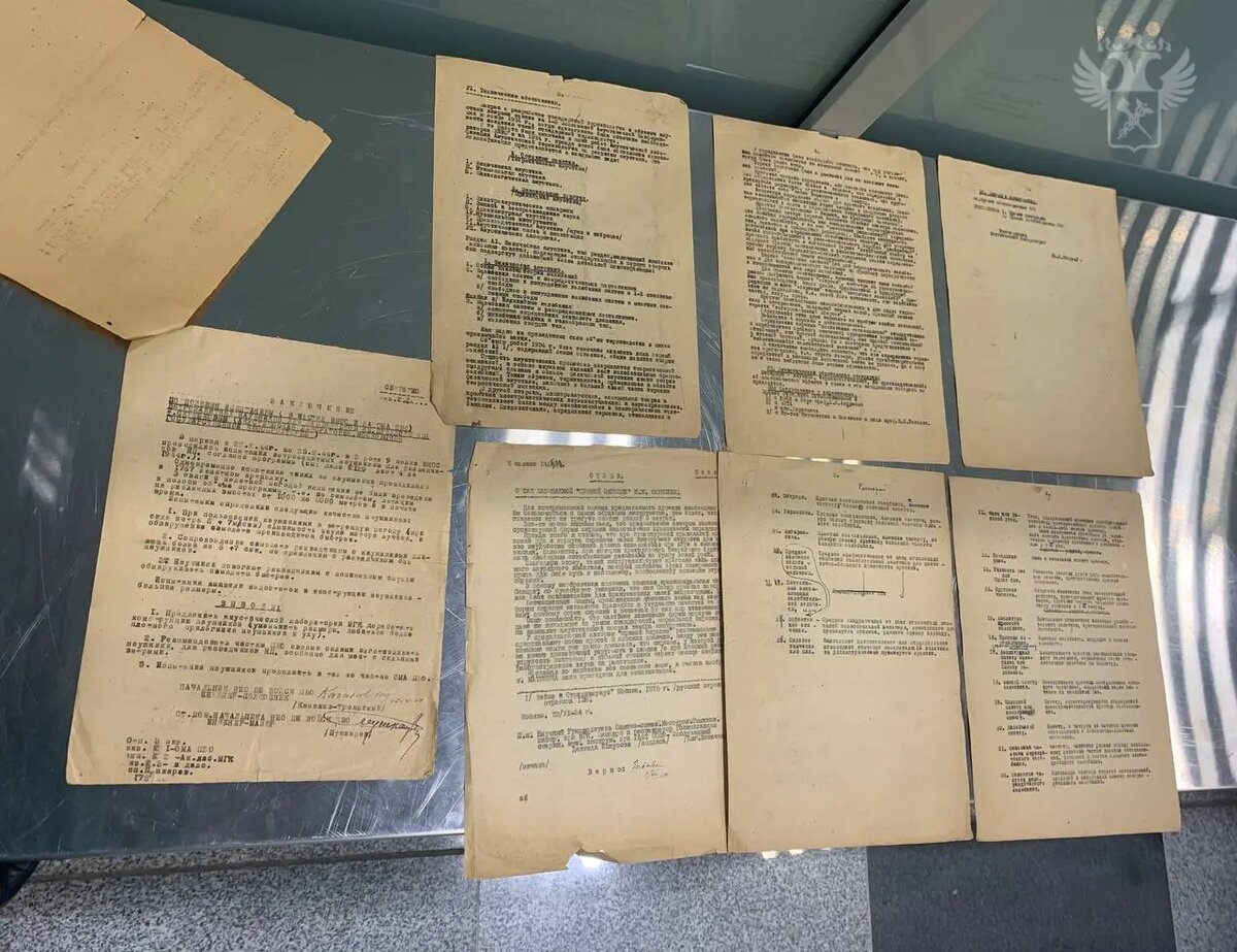    Фото: пресс-служба ФТС России