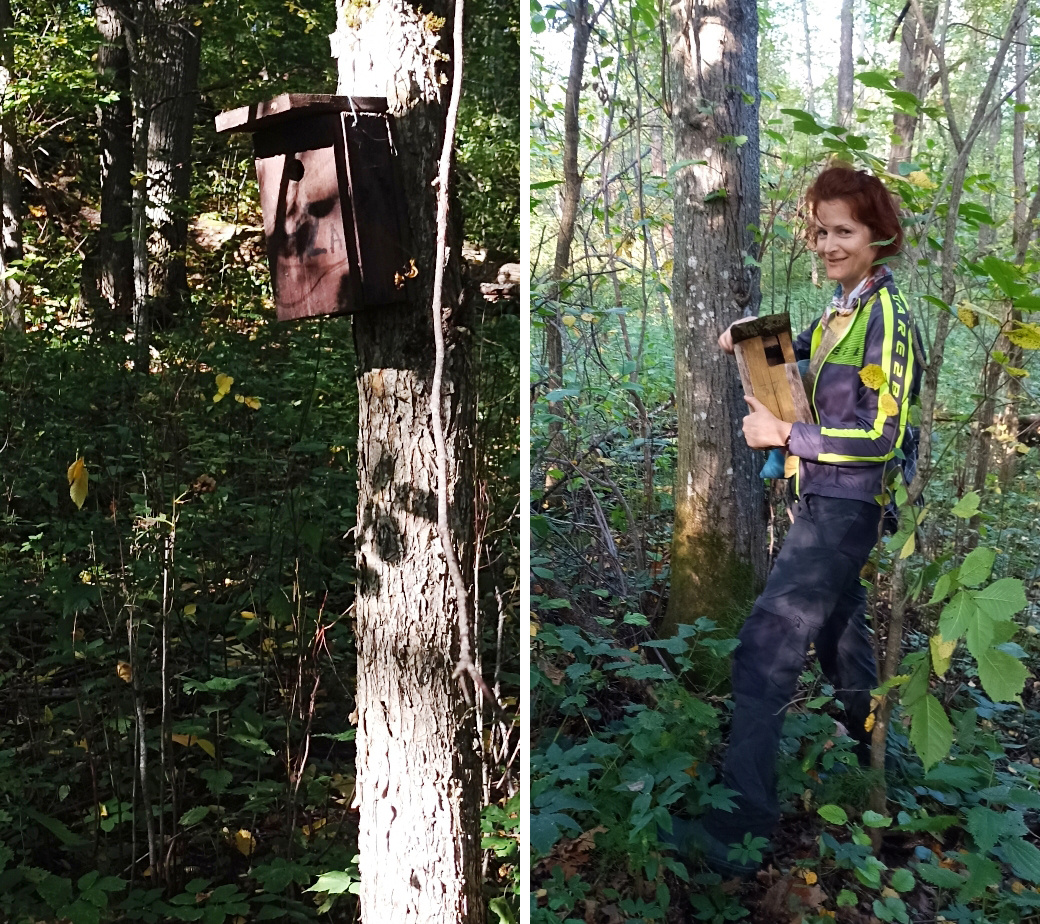 Проверка дуплянок