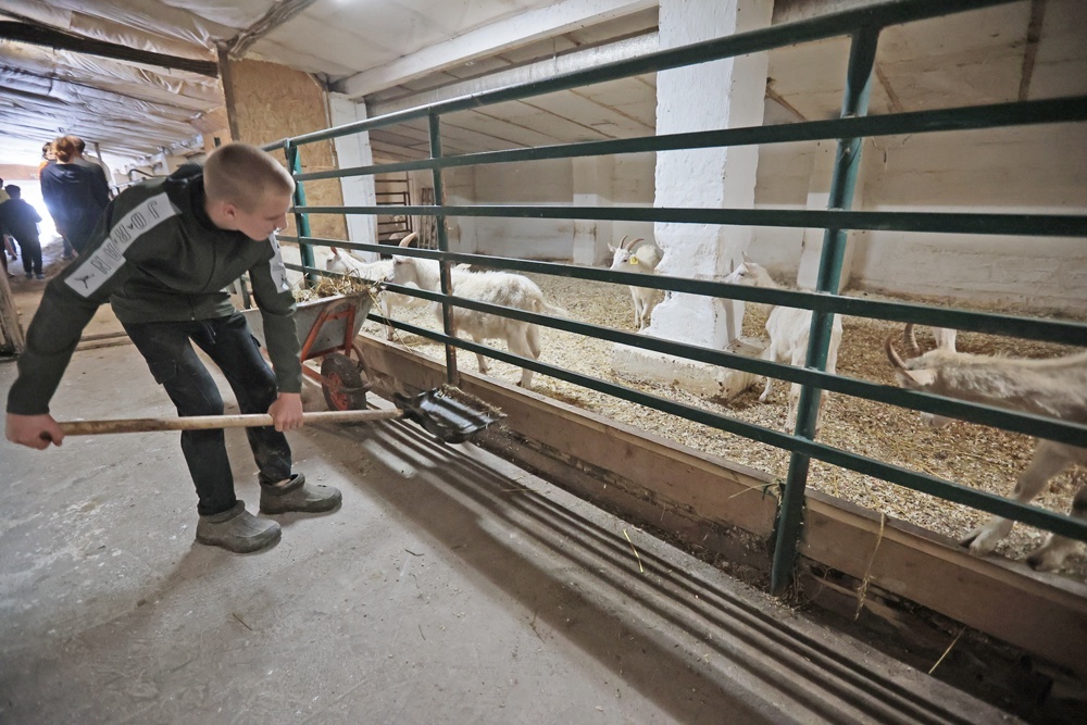    Агротуризм (он же сельский туризм) подразумевает поездку горожан на фермы и сельскохозяйственные предприятия. / Фото: Виталий Белоусов / РИА Новости