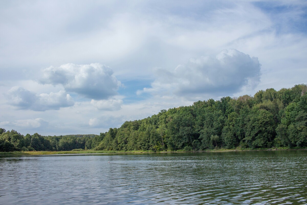    Фото: Максим Завикторин / Unsplash