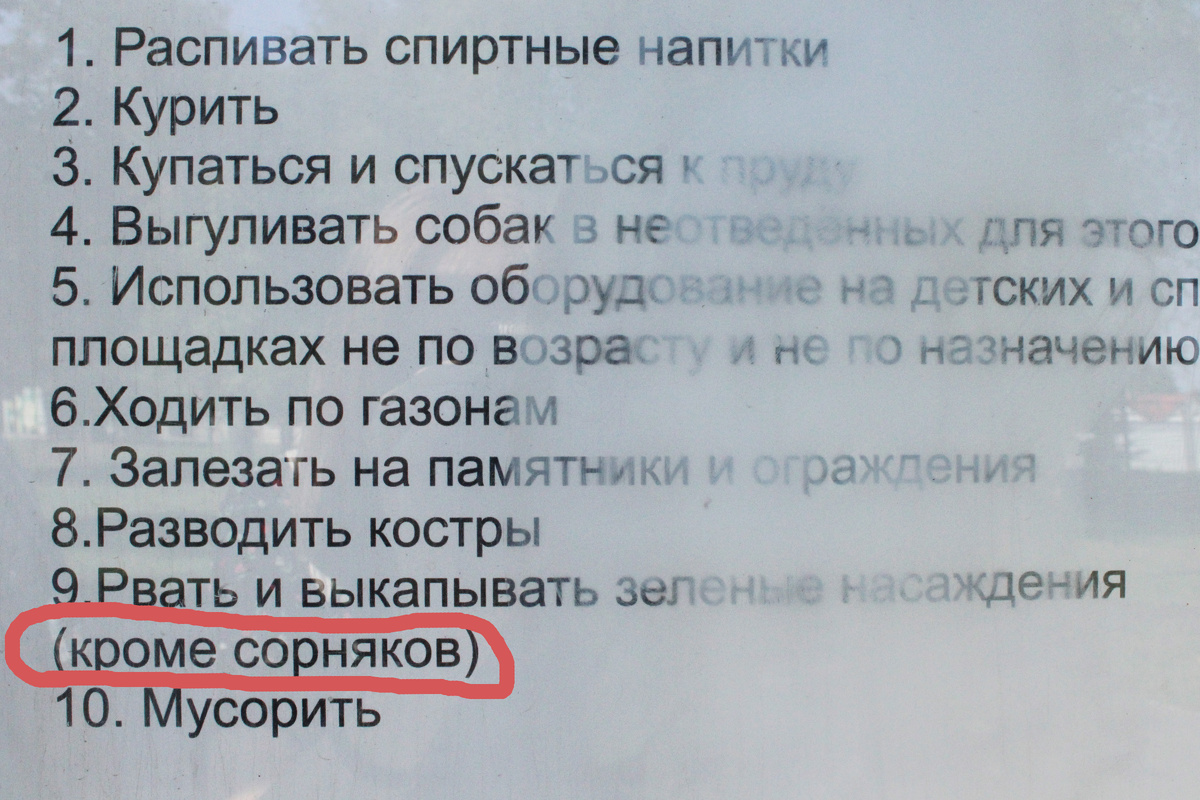 В сквере запрещено многое, но можно выдёргивать сорняки)))