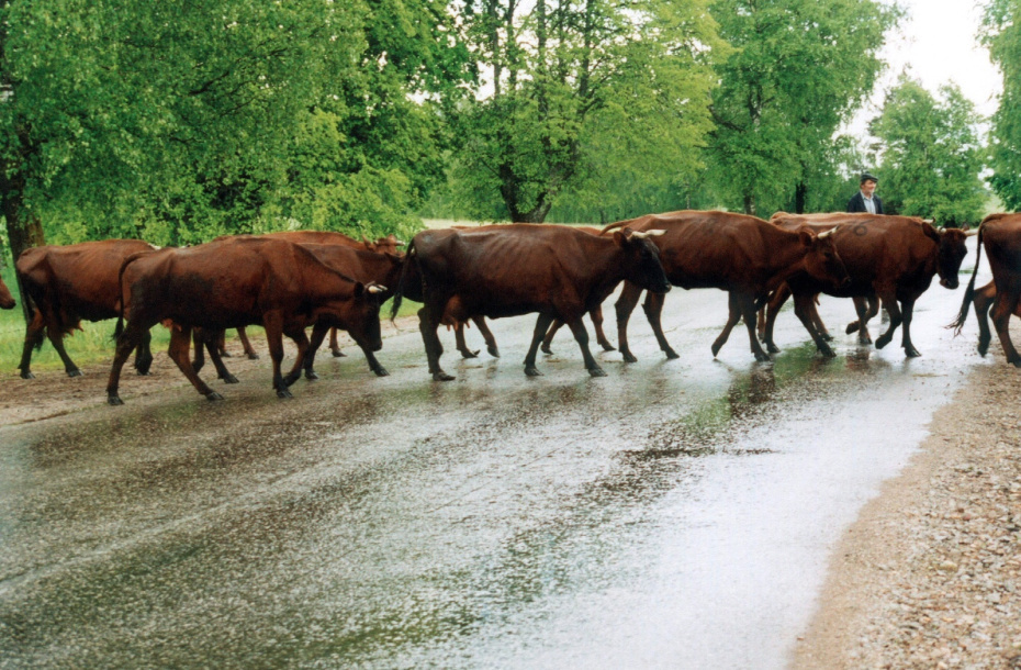    Victor Lisitsin/Global Look Press