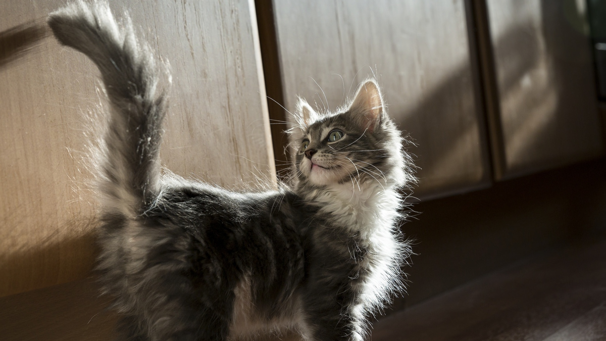 Я тебе доверяю