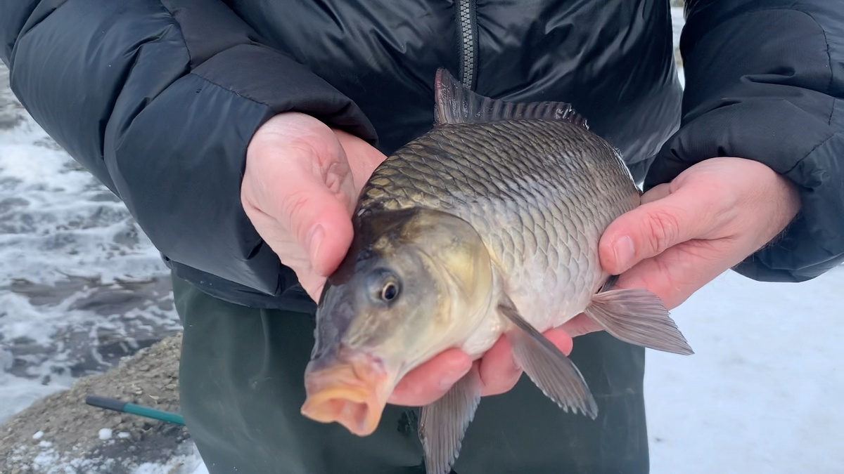 Трофеи Москвы-реки