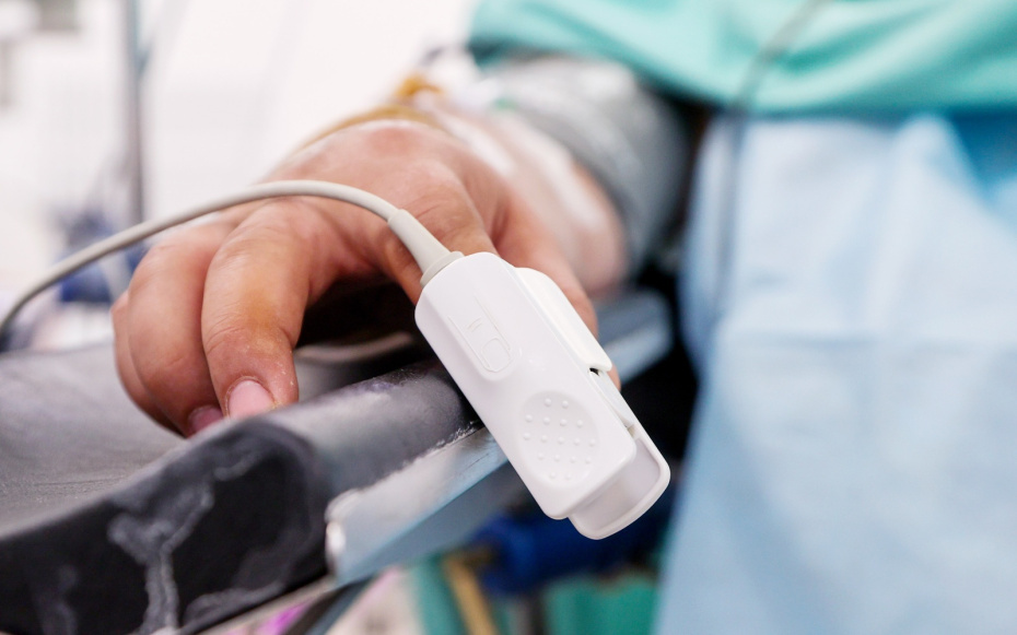    Алексей Белкин/NEWS.ru