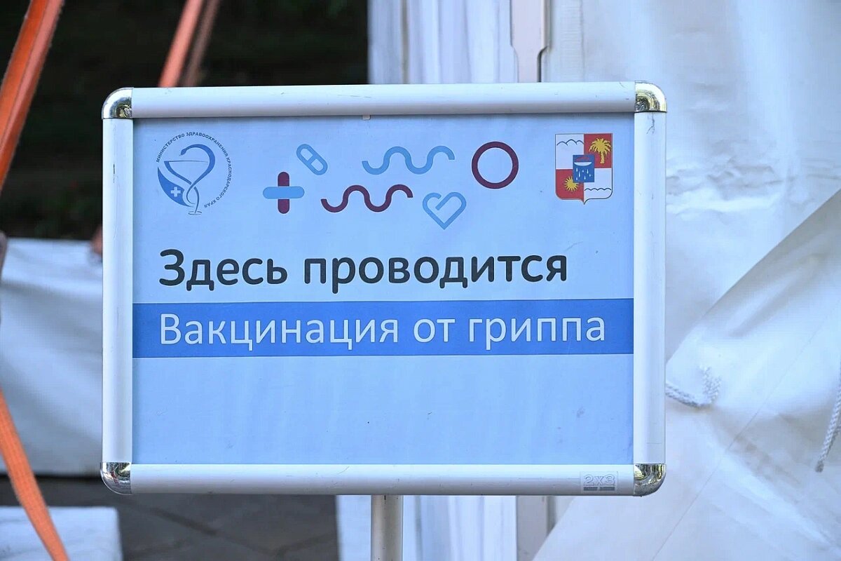    Фото: пресс-служба администрации города Сочи