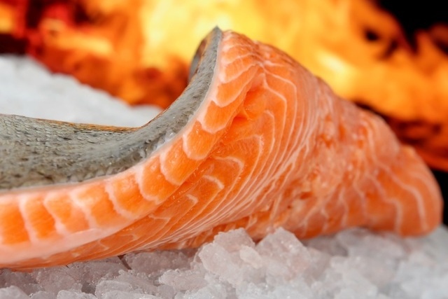 Фото: pxhere.com 