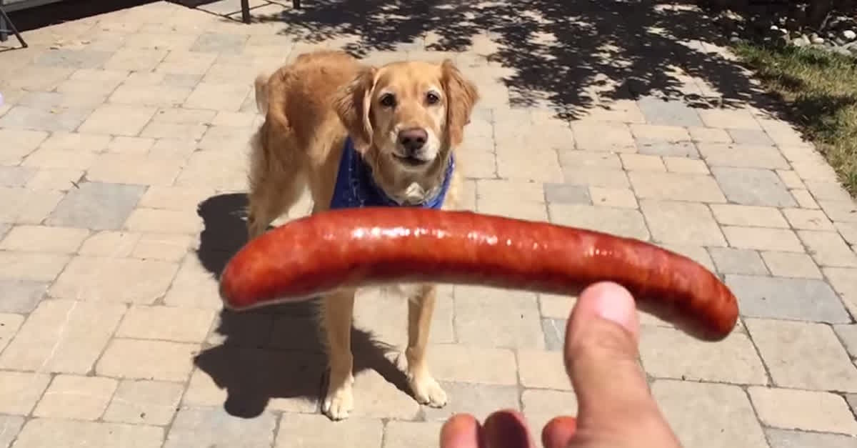 Взято с сайта. naukabezgranits2021.linguanet.ru