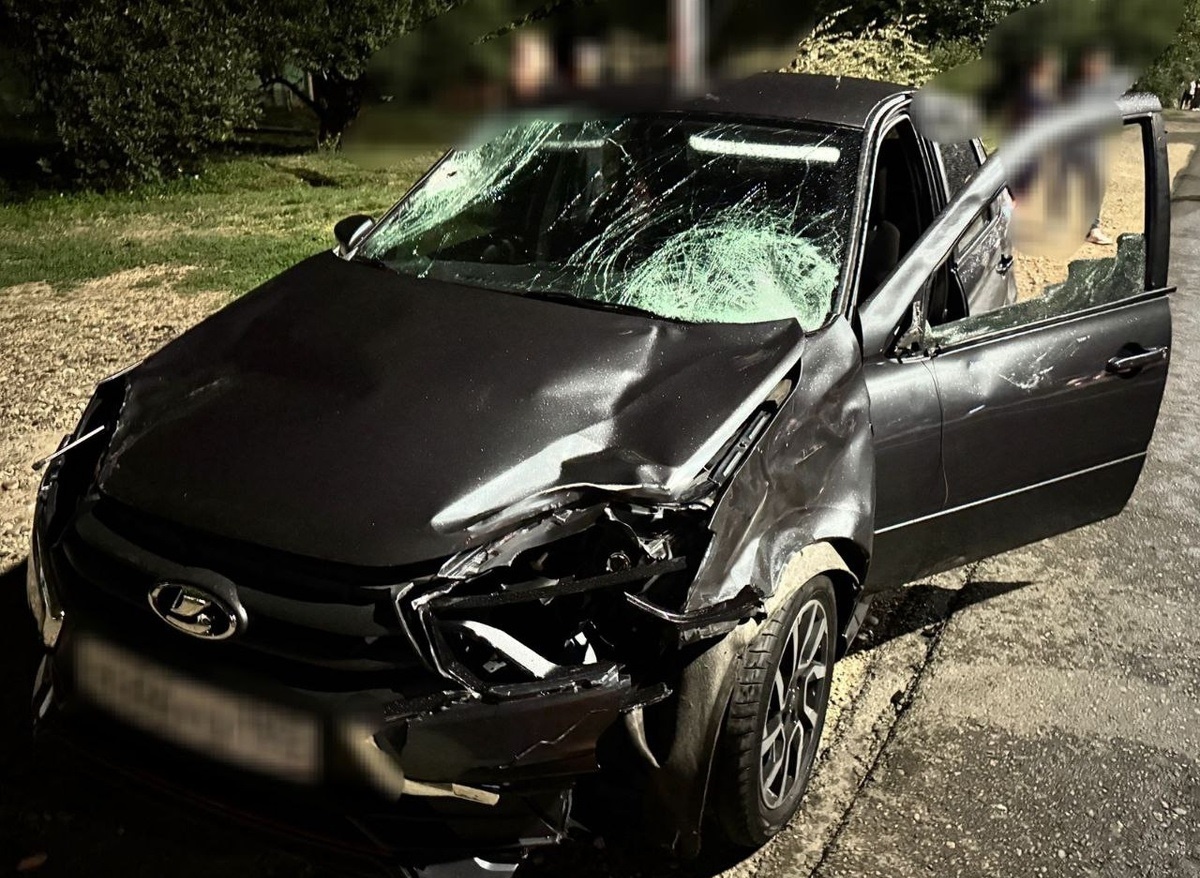 Фото : Госавтоинспекция России/Telegram