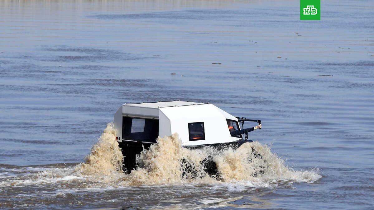    Фото: РИА Новости © 2025, Максим Богодвид