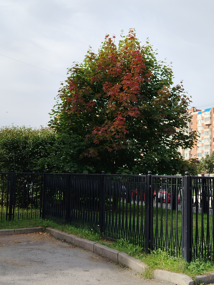 Фото автора канала