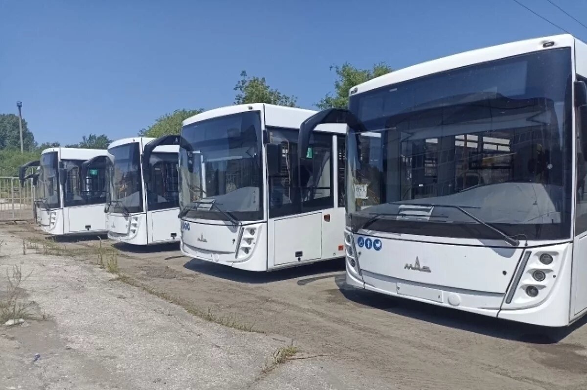    В Петербург приехали 30 новых автобусов