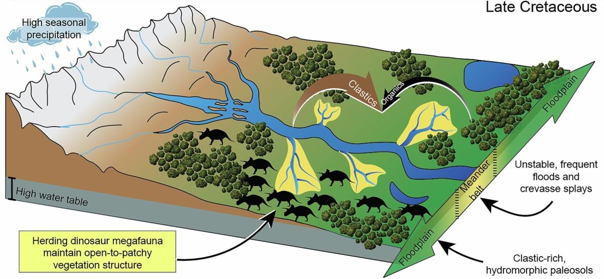    Гидрологический режим и характер осадочных пород в позднем меловом периоде определяли крупные растительноядные динозавры / ©Weaver, L.N., Tobin, T.S., Sprain, C.J. et al. Dinosaur extinction can explain continental facies shifts at the Cretaceous-Paleogene boundary. Commun Earth Environ 6, 712 (2025). https://doi.org/10.1038/s43247-025-02673-8