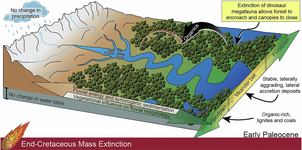    Спустя всего несколько сотен тысяч лет гидрологический режим и характер осадочных пород радикально изменились. Это произошло не только из-за глобально изменившегося климата и прямых последствий катастрофы, приведшей к мел-палеогеновому вымиранию, но и непосредственно в результате него. Растительность на суше больше не вытаптывали огромные травоядные динозавры, а млекопитающие им на смену прийти не успели / ©Weaver, L.N., Tobin, T.S., Sprain, C.J. et al. Dinosaur extinction can explain continental facies shifts at the Cretaceous-Paleogene boundary. Commun Earth Environ 6, 712 (2025). https://doi.org/10.1038/s43247-025-02673-8