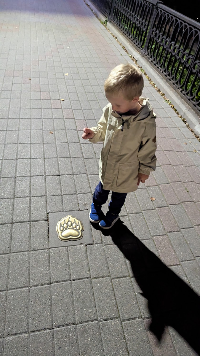 Искал лапы медведя этим летом в Ярославле. 