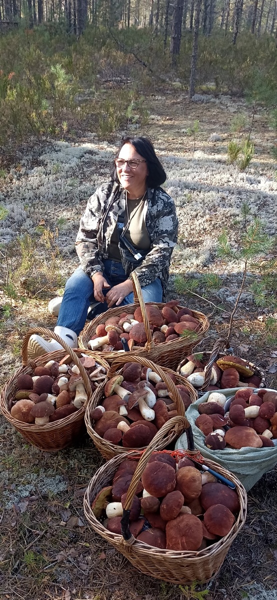 Лодейнопольский район