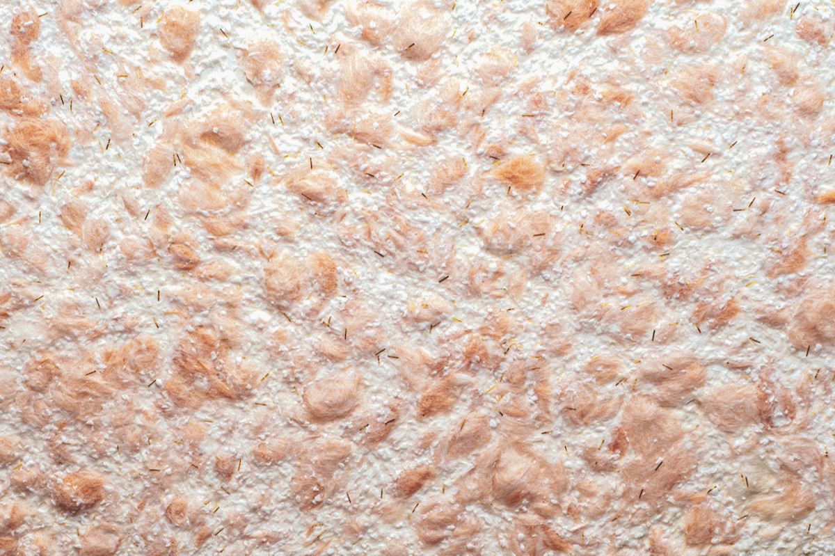 Фото: Firuza39/shutterstock.com