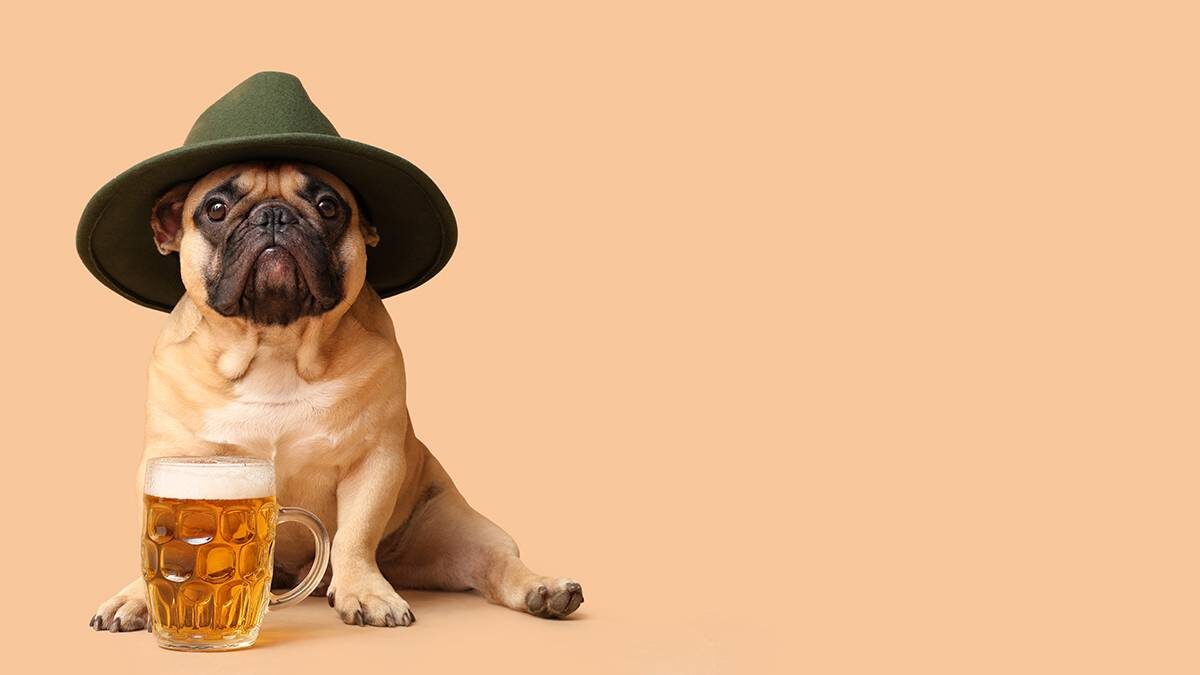    Фото: Shutterstock