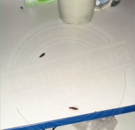 Типичный Сочи