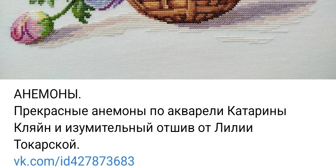 Пост ВК от Светланы Прокопец.