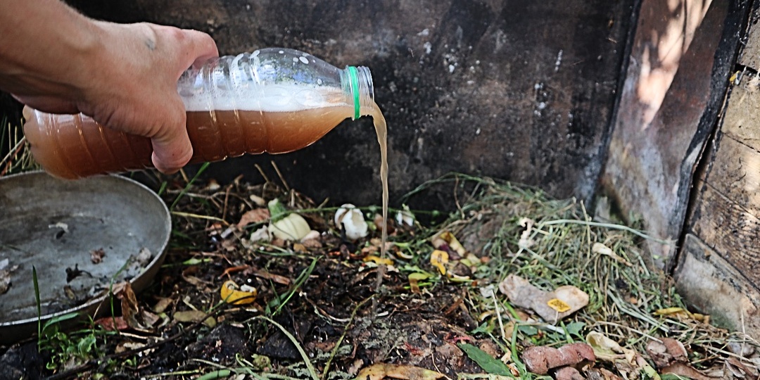 Чтобы быстро перегнили ботва, ветки и даже кости пролейте компостную кучу этим осенью.