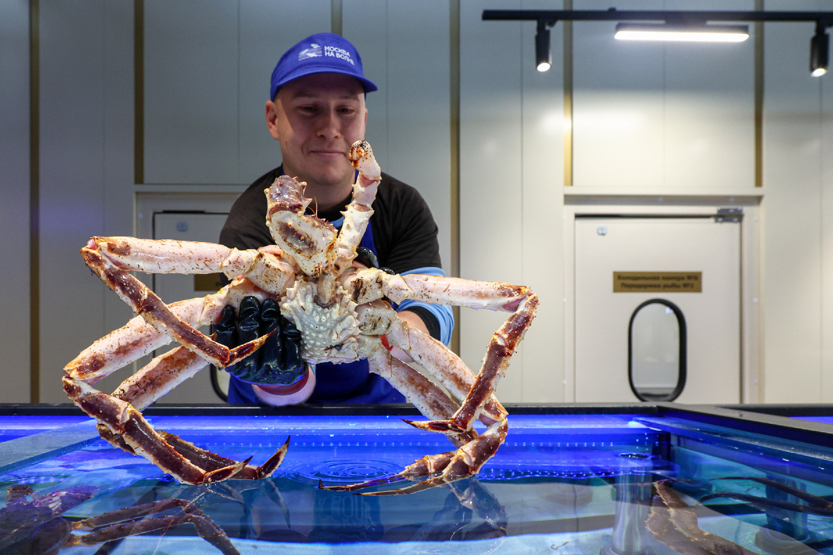 Фото: © Shatokhina Natalia/ news.ru/ Global Look Press