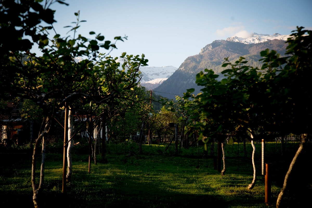  Село Дурипш в саду вечером