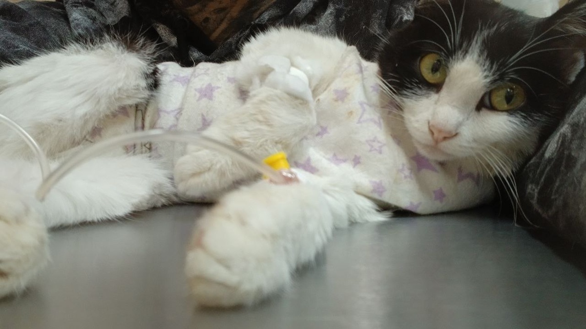 Подопечная фонда в клинике