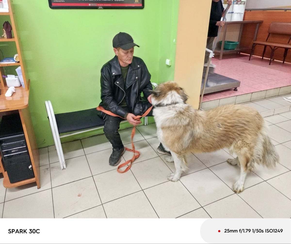 Один из печиков, доставленных сегодня в клинику 