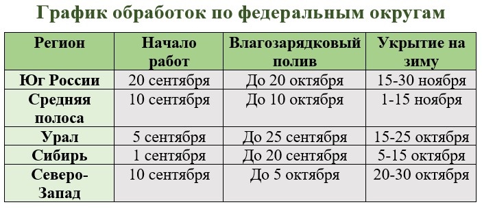 Региональные сроки работ