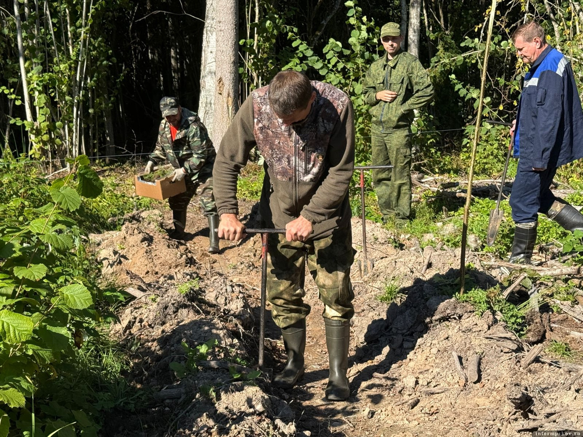 Фото: газета «Плюсский край»