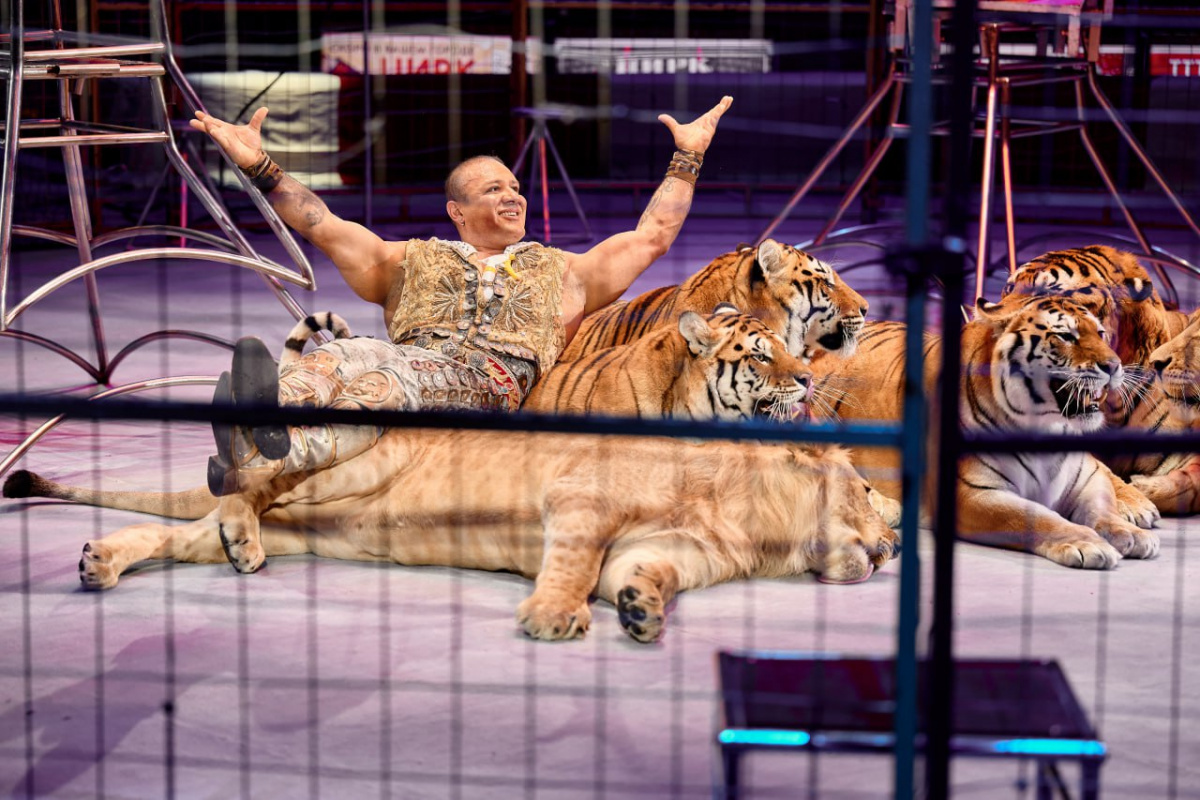 Карлос Брешиани со своими «котятами».
