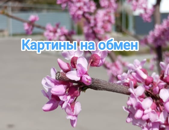 Фотография автора Поспелова Евгения 