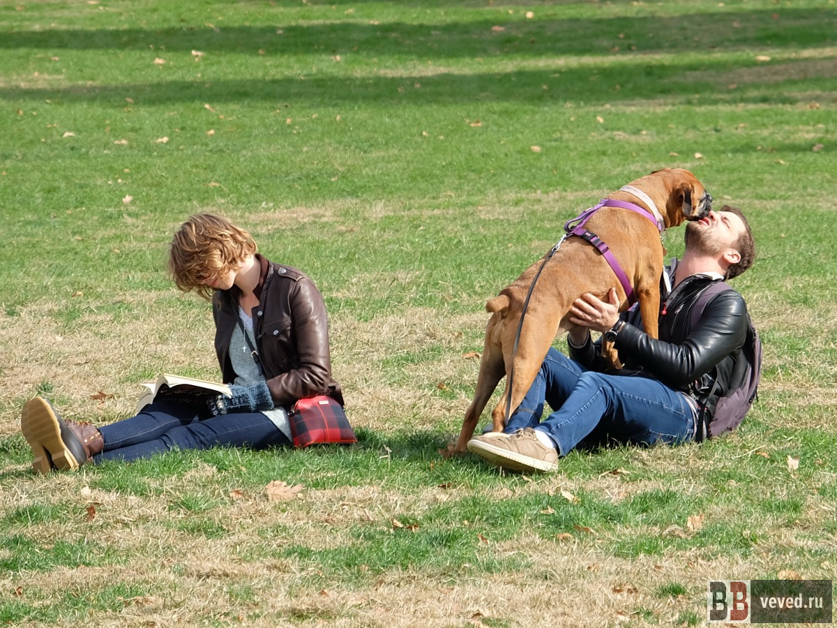     Фото: Владислав Постников / Вечерние ведомости