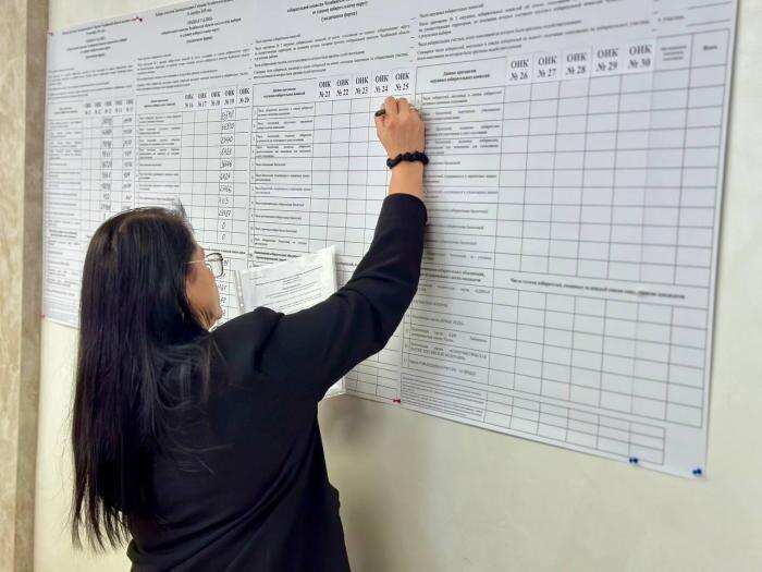     Фото: Избирком Челябинской области