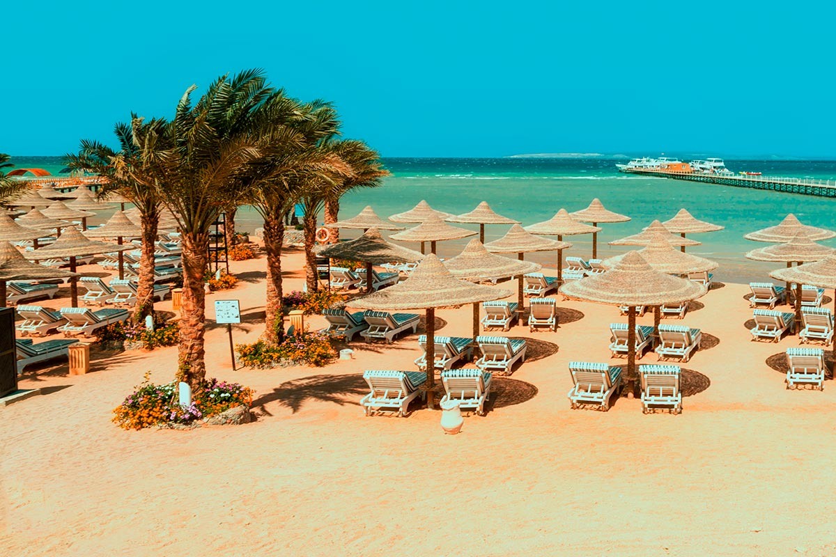    Фото: Stanley Kalvan / Shutterstock.com