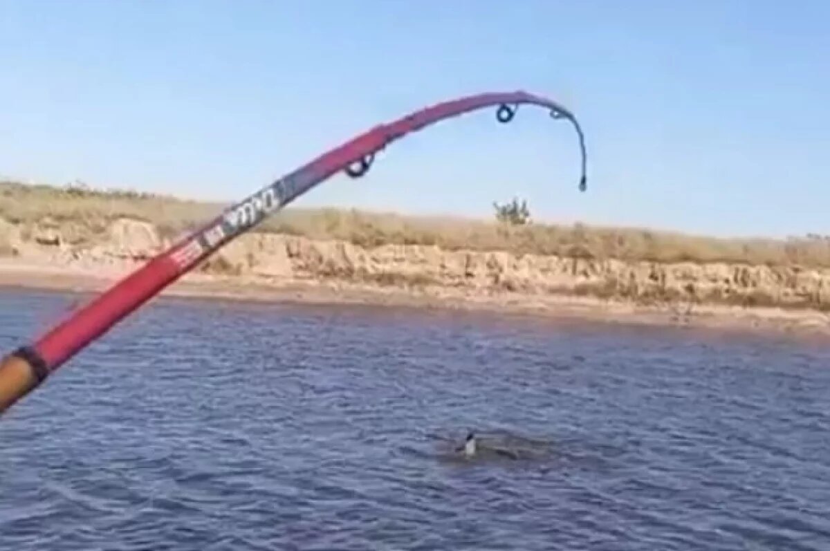    Ловись рыбка большая.