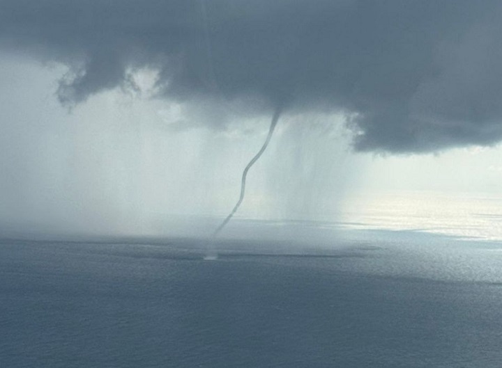    Фото: телеграм-канал Анны Миньковой